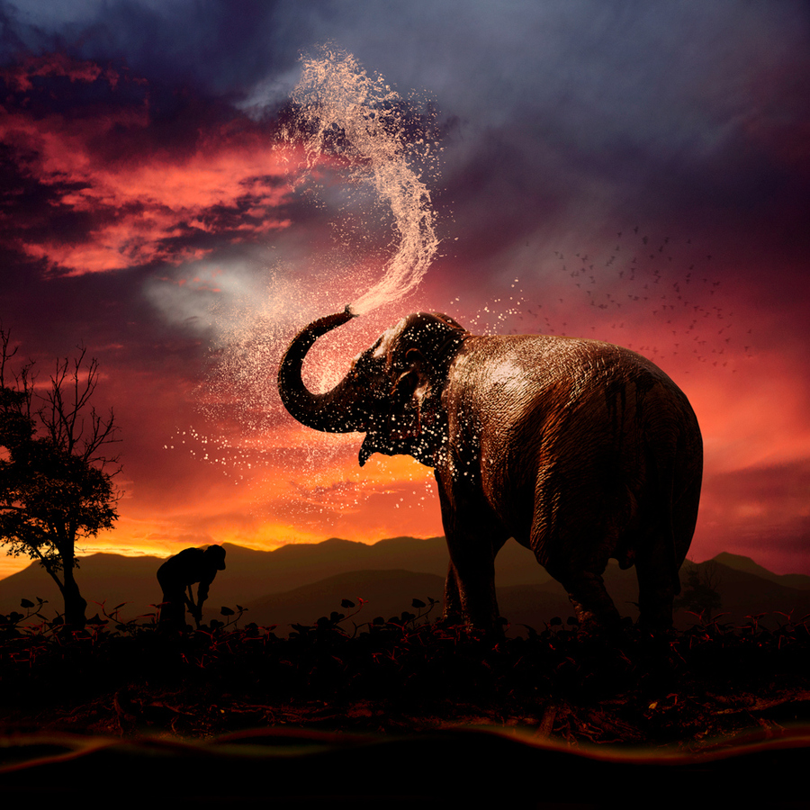 Inspiration Photoshop Creative Work
