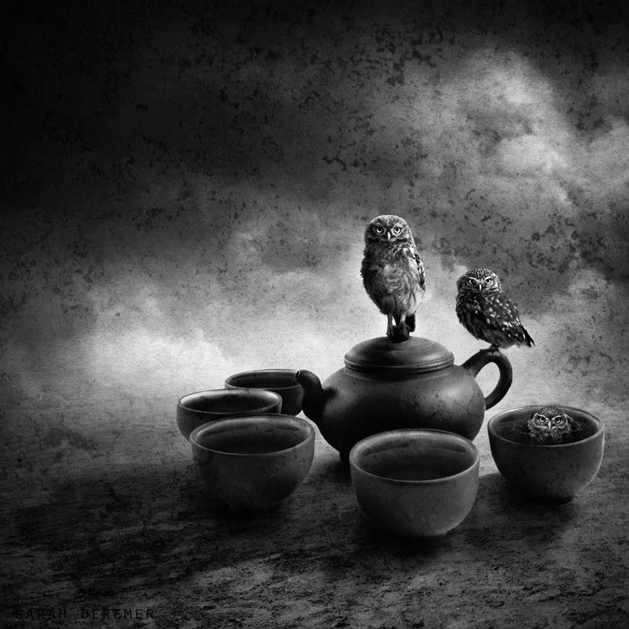 Surreal Black & White Photography by Sarah DeRemer | Great Inspire