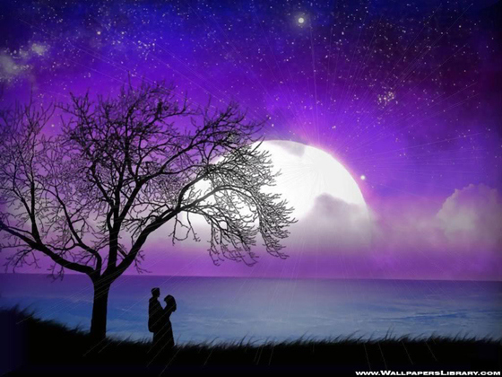 romantic moonlight