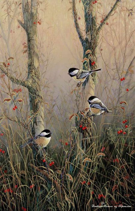 Realistic Oil Painting Of Birds