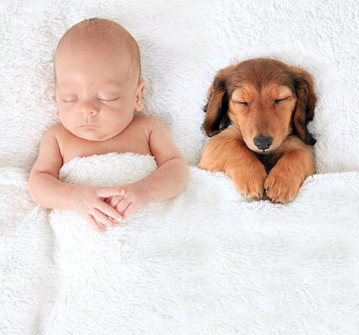 Cutest Babies Images With Puppy Dogs (10)