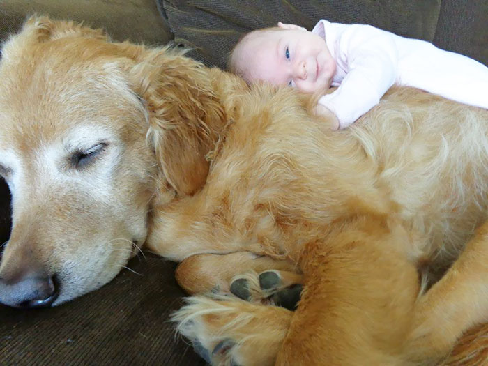 Cutest Babies Images With Puppy Dogs (11)