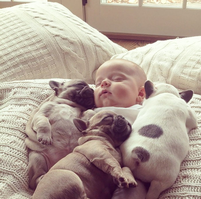 Cutest Babies Images With Puppy Dogs (13)