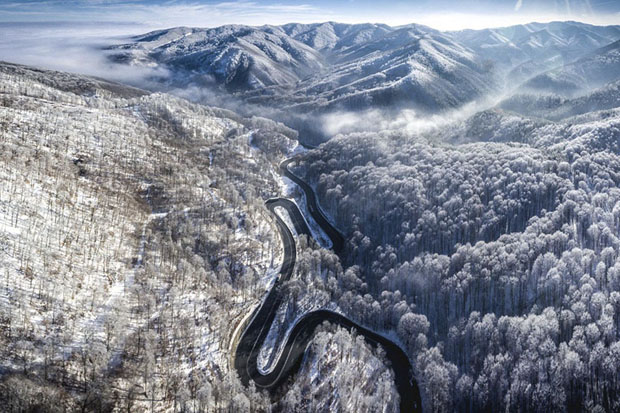 Infinite Road To Transylvania, Romania (Nature - Finalist)